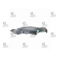 DAVLUMBAZ ÇAMURLUK GETZ 02-06 ÖN RH