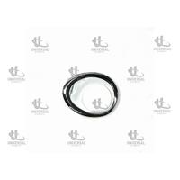 KAPAK LAMBA SİS SUCCE 09-11 LH (SİSLİ/KROM)