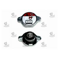 KAPAK RADYATÖR ACCENT ERA-BLUE/İ10/İ20/İ30/İX35/