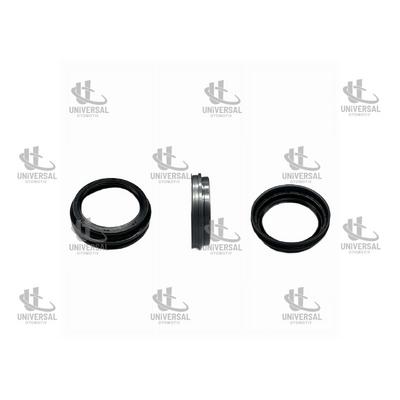 AKS KEÇESİ ARKA İÇ HİLUX 15-19