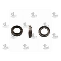 KEÇE AKS YARİS 02-05 RH (38X54X9X15.8)