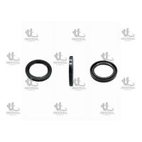 KEÇE YAĞ İX35/SANTAFE/TUCSON 01-18 (54X73X8)