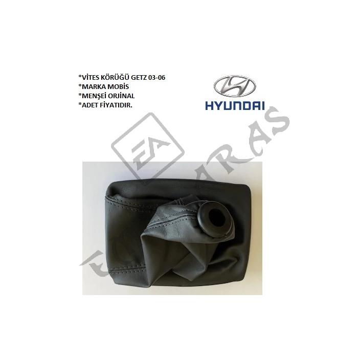 VİTES KÖRÜĞÜ GETZ 03-06