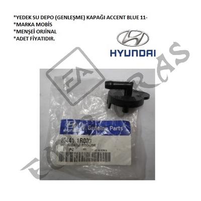 YEDEK SU DEPO (GENLEŞME) KAPAĞI ACCENT BLUE 11-