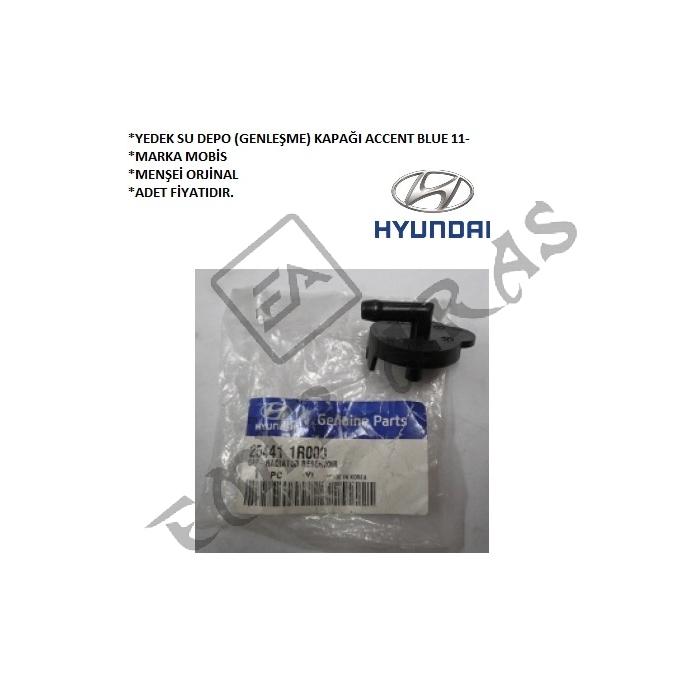 YEDEK SU DEPO (GENLEŞME) KAPAĞI ACCENT BLUE 11-