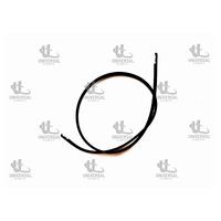 ÇITA TAVAN JAZZ 03-07 RH