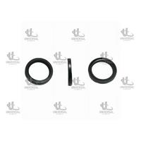 KEÇE DEFRANSİYEL SANTAFE 10-15/SORENTO 09-15