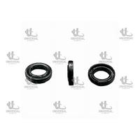 KEÇE ŞANZIMAN PRİZDİREK PRIMERA 1,6 QG16DE